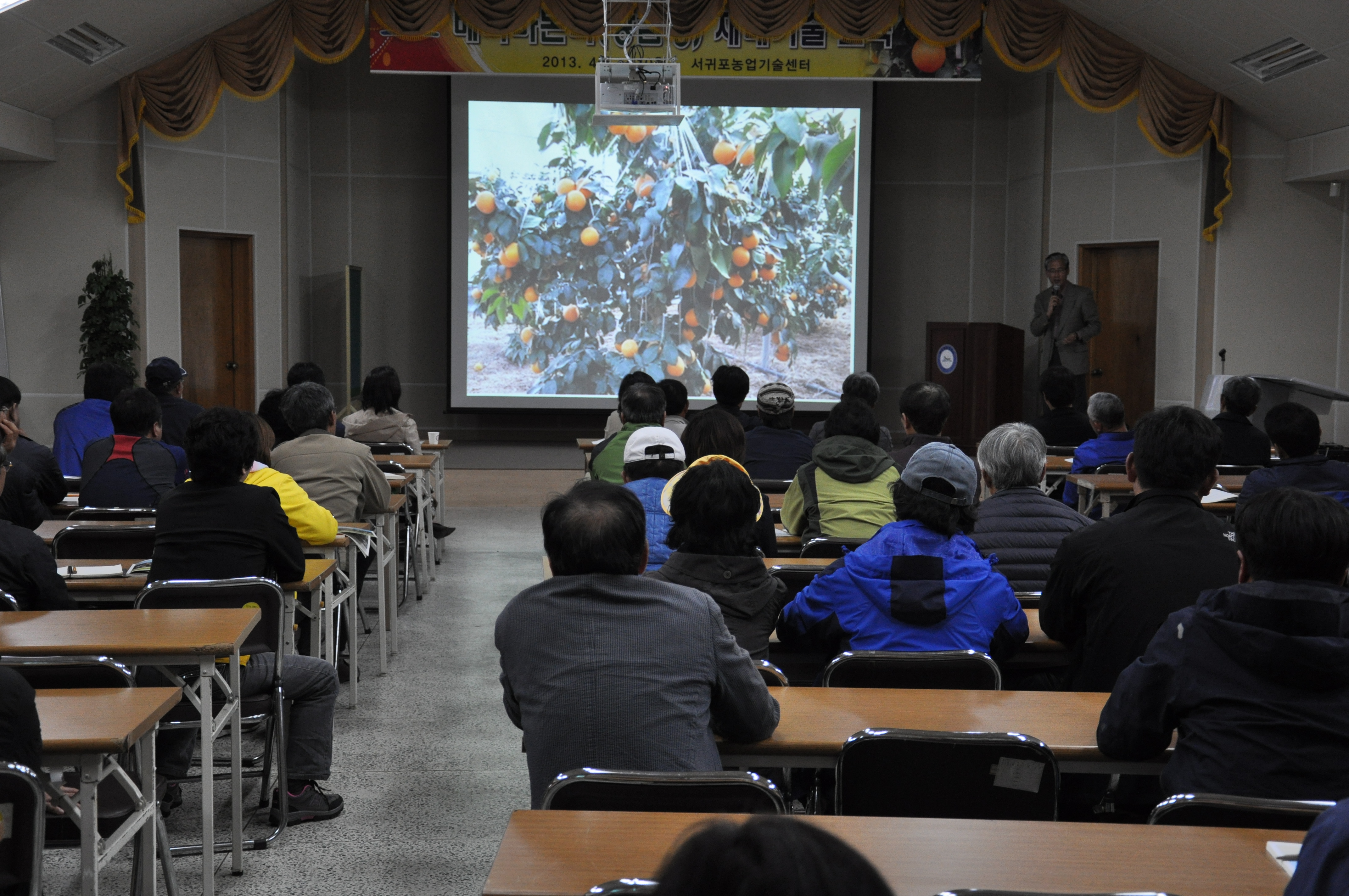베니마돈나 재배기술교육 